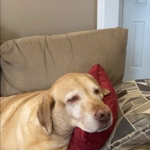 Meet your Posher, Keith